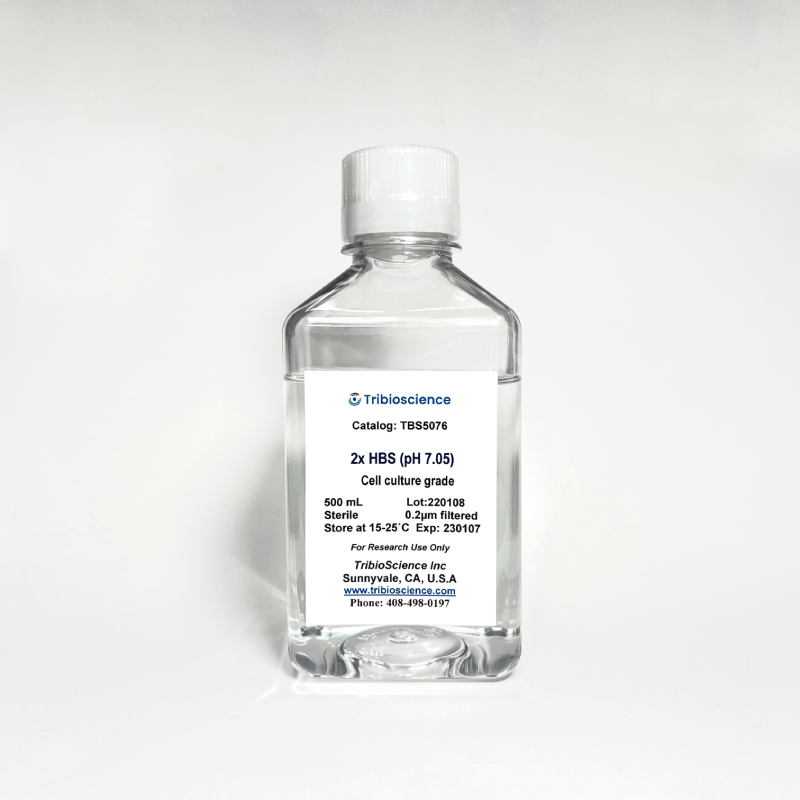 2x HBS, pH 7.05 (Sterile, Tissue Culture Grade) TBS5076 - Common Reagents - TriBioScience