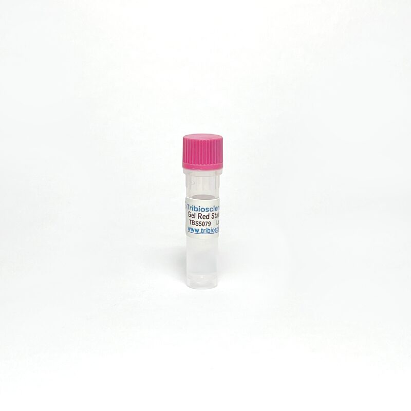 Gel Red Stain Solution 10000x in Water TBS5079 - Common Reagents - TriBioScience