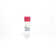 Gel SmartGlow Stain Solution 20000x TBS5080 - Common Reagents - TriBioScience
