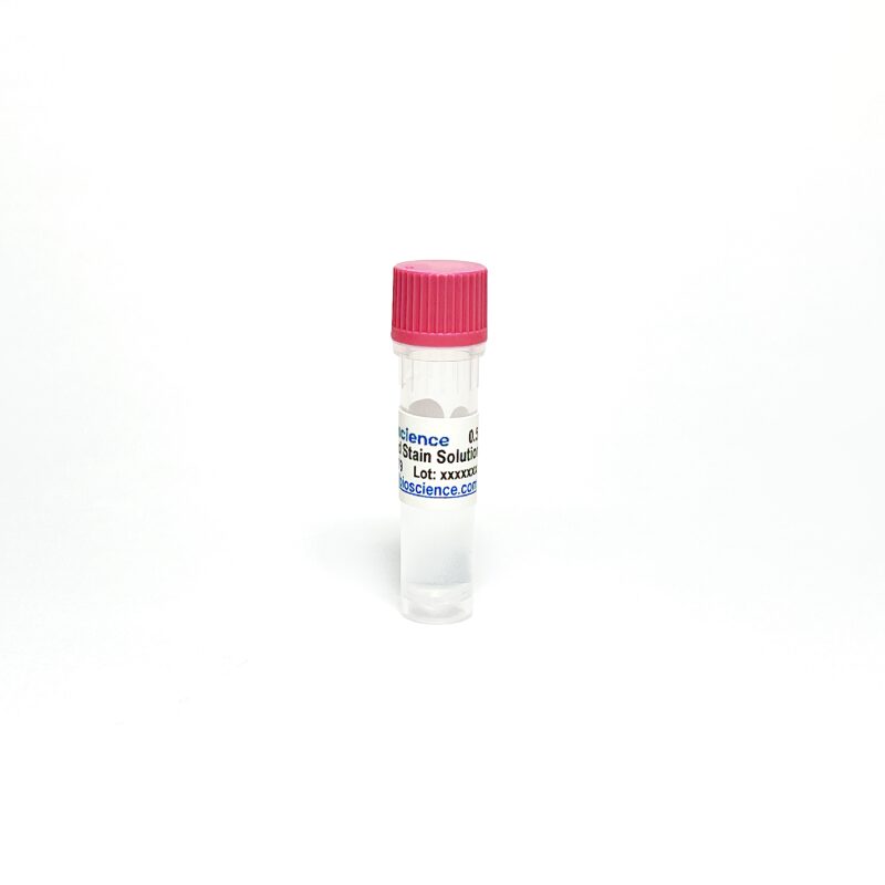 Gel SmartGlow Stain Solution 20000x TBS5080 - Common Reagents - TriBioScience