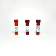 0.5M TCEP-HCl Solution (pH 6.0, 7.0 and 8.0) TBS5082-01-6.0 - Common Reagents - TriBioScience