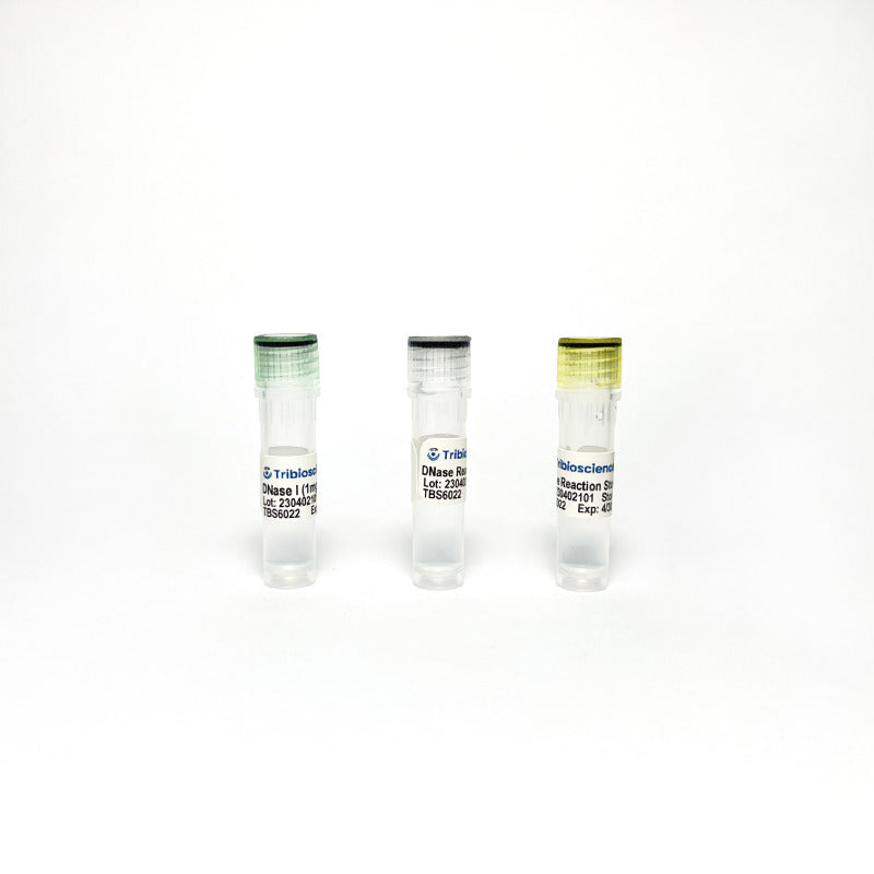 Tribo™ DNase I Solution (1 mg/mL) TBS6022 - Life Science - TriBioScience