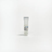 RNase A Solution TBS6024-01 - Life Science - TriBioScience