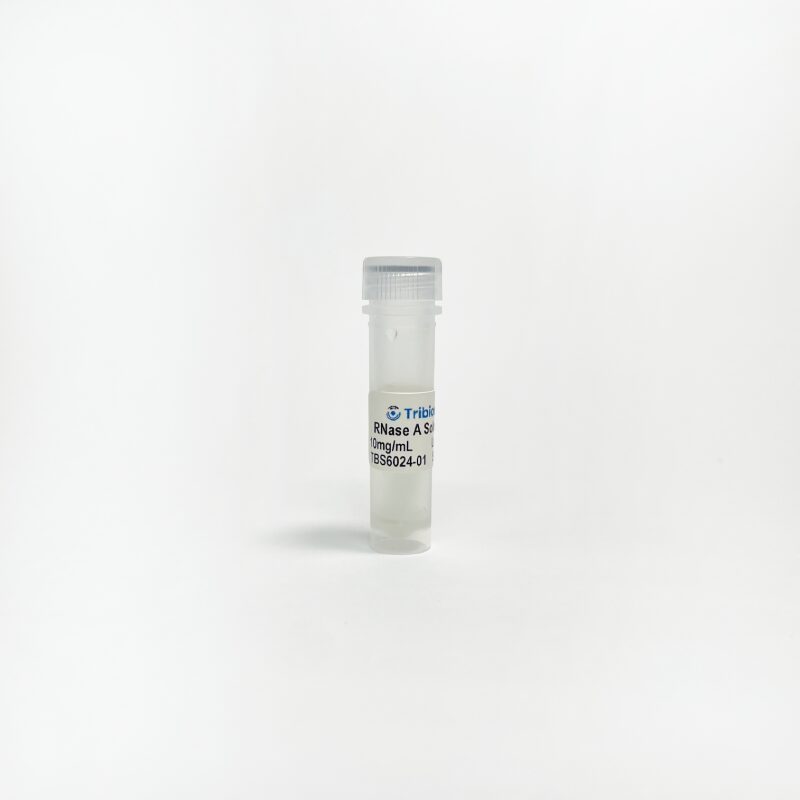 RNase A Solution TBS6024-01 - Life Science - TriBioScience