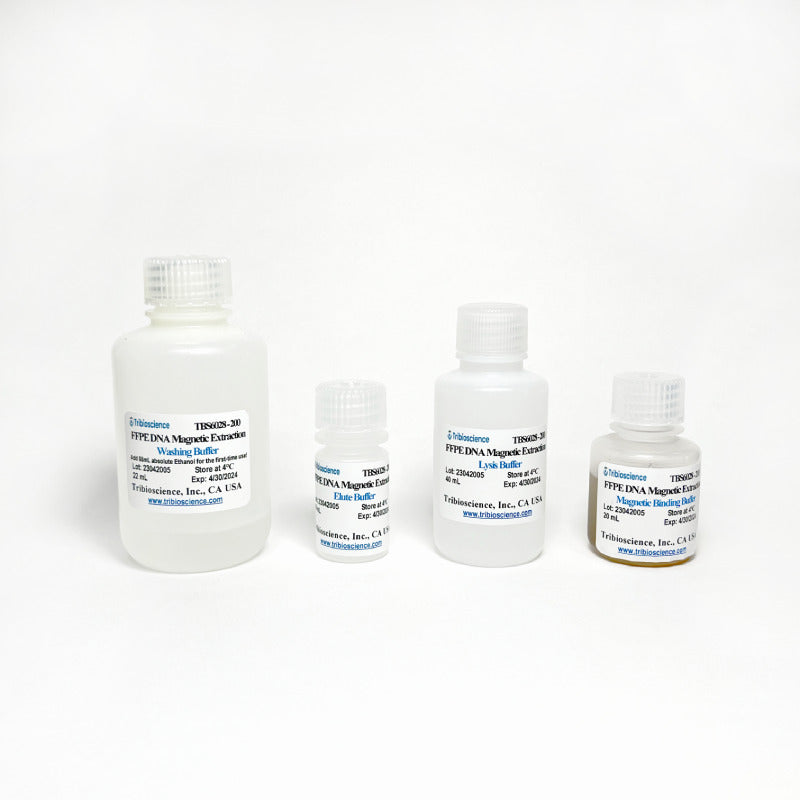 Direct FFPE Tissue DNA Magnetic Extraction Kit TBS6028 - Life Science - TriBioScience