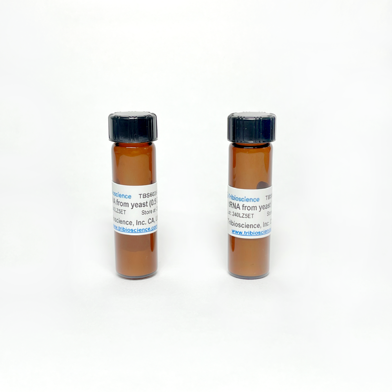 Transfer Ribonucleic Acid / tRNA (from yeast) TBS6038-0.1G - Life Science - TriBioScience