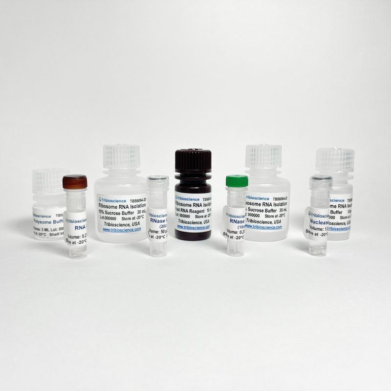Ribosome RNA Purification Kit TBS6094-20 - Life Science - TriBioScience