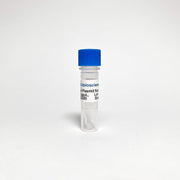 Cas9 Nuclease Plasmid Non-Viral Vector TBS6095 - Life Science - TriBioScience