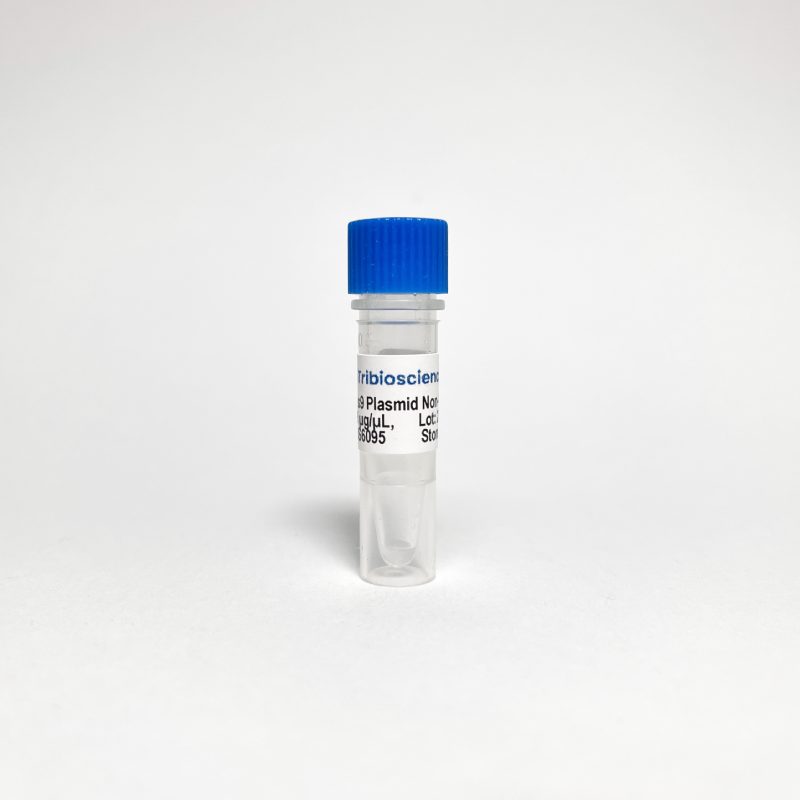 Cas9 Nuclease Plasmid Non-Viral Vector TBS6095 - Life Science - TriBioScience