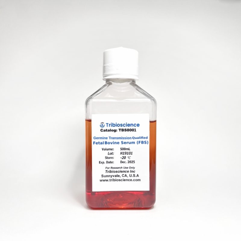 Tribo™ Cardiomyocyte Differentiation Kit TBS8026-10 - Life Science - TriBioScience