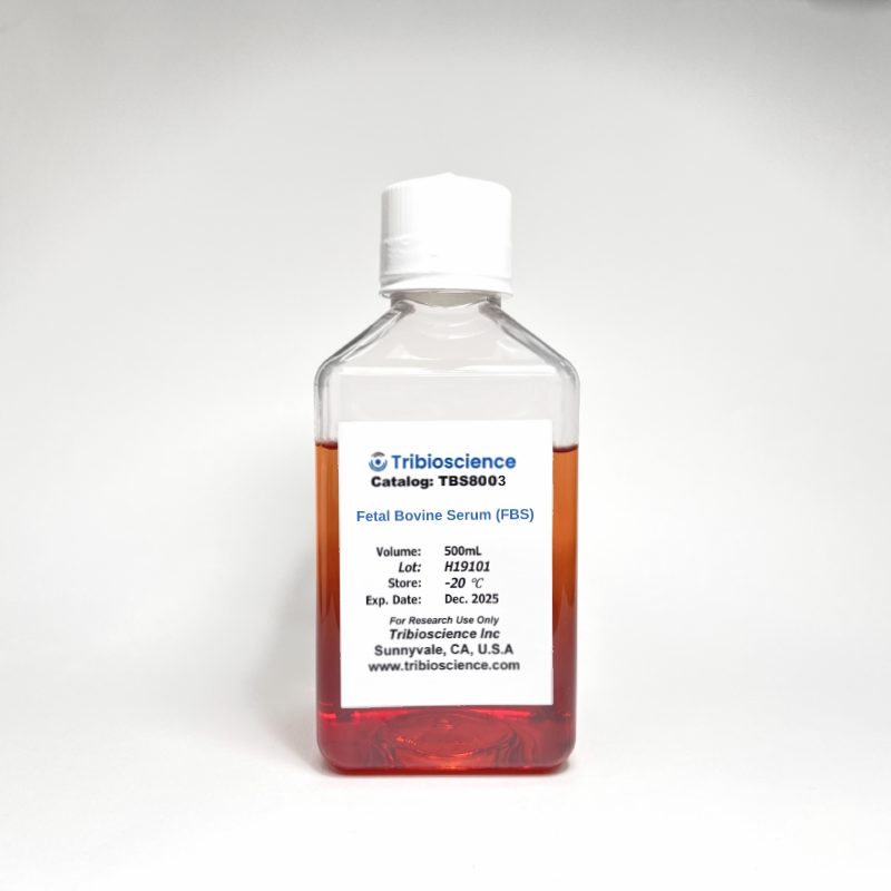 Mouse Muscle Differentiation Medium TBS8008 - Life Science - TriBioScience