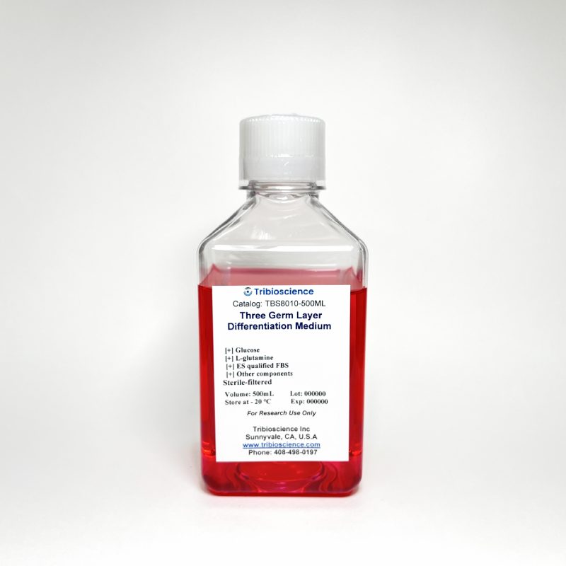 Human Muscle Differentiation Medium TBS8009 - Life Science - TriBioScience