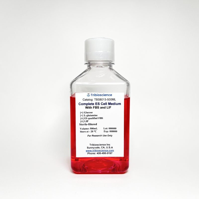 Three Germ Layer Differentiation Marker Detection Kit TBS8011 - Life Science - TriBioScience