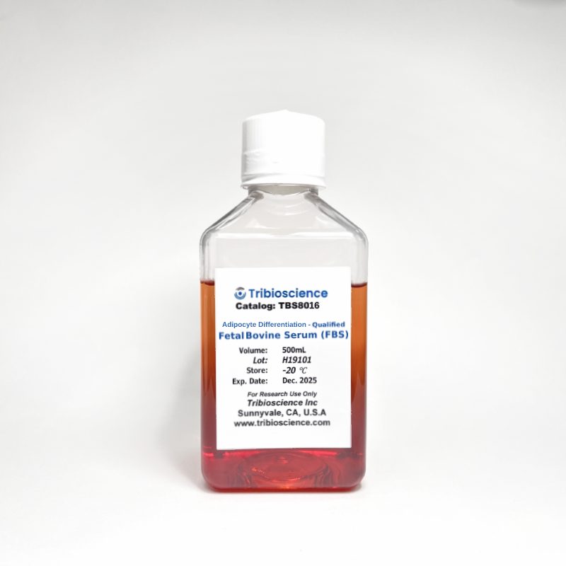 Tribo™ Brown Adipocyte Differentiation Kit TBS8028-10 - Life Science - TriBioScience