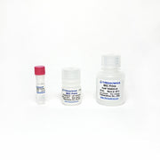 Tribo™ MSC Prime Medium, 25x TBS8022-01 - Life Science - TriBioScience