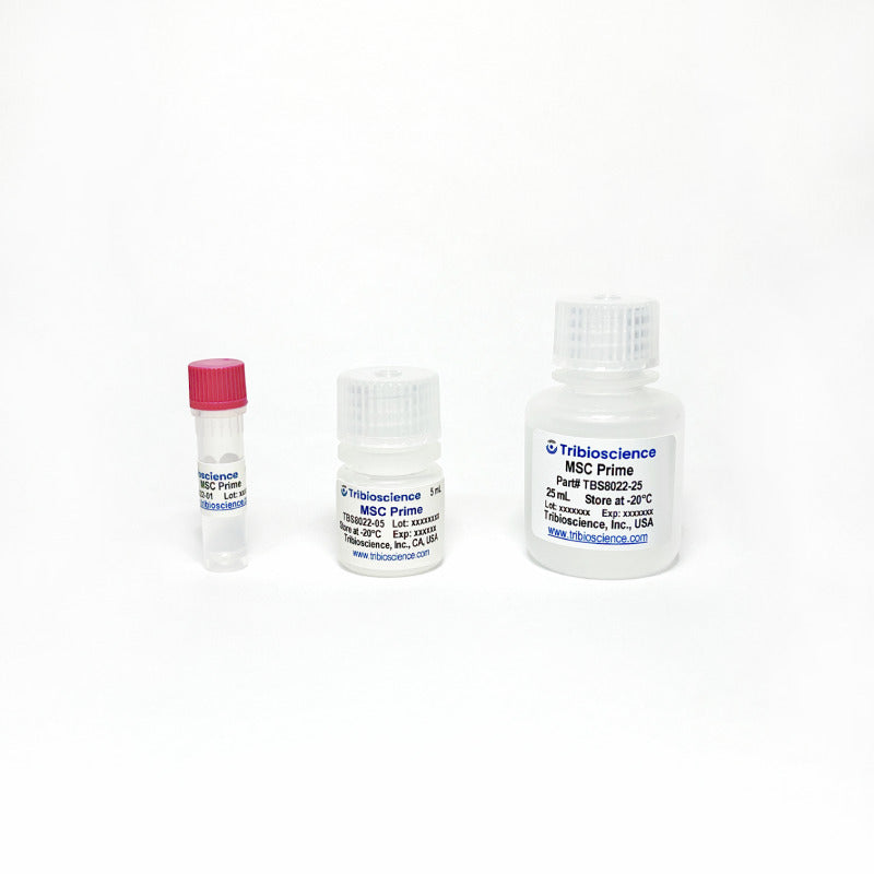 Tribo™ MSC Prime Medium, 25x TBS8022-01 - Life Science - TriBioScience
