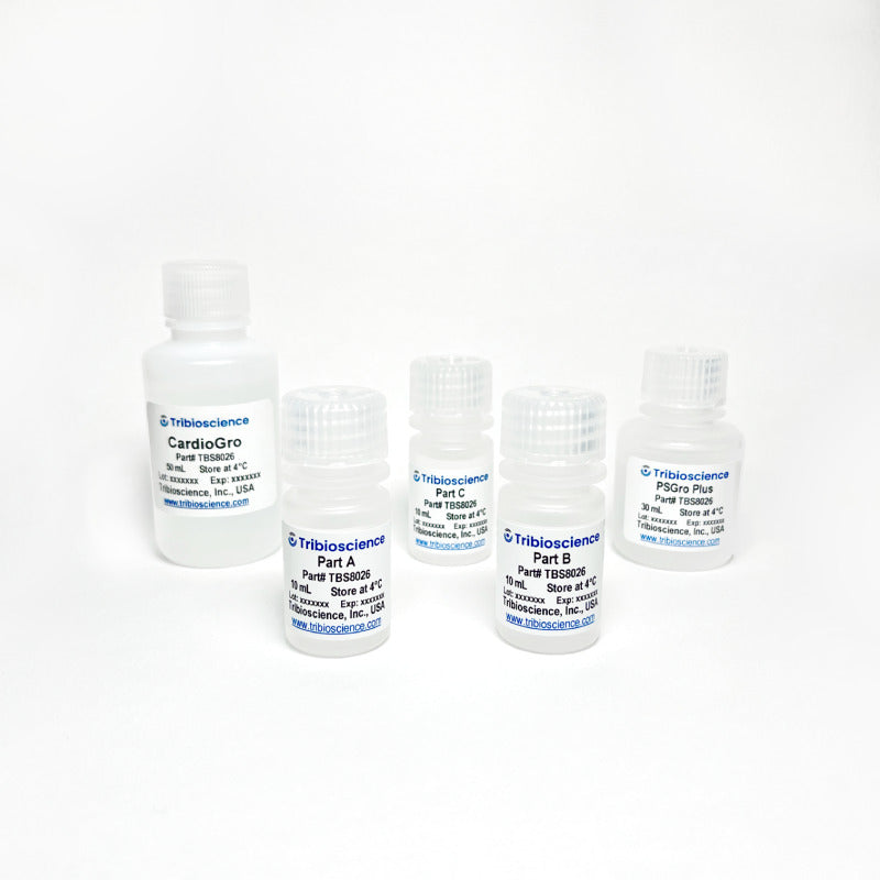 0.1% Gelatin Solution TBS8004-100 - Life Science - TriBioScience
