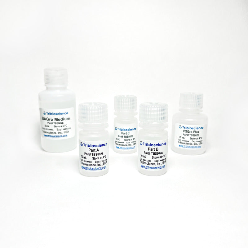 Tribo™ Brown Adipocyte Differentiation Kit TBS8028-10 - Life Science - TriBioScience
