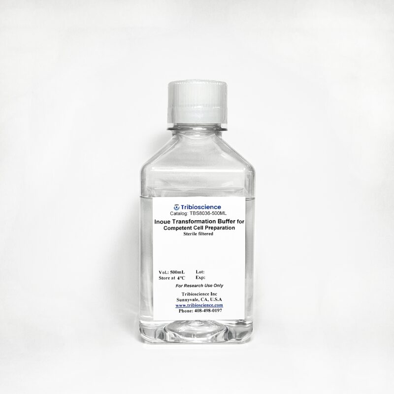 Inoue Transformation Buffer for Preparation of Competent Cells TBS8036-100ML - Life Science - TriBioScience