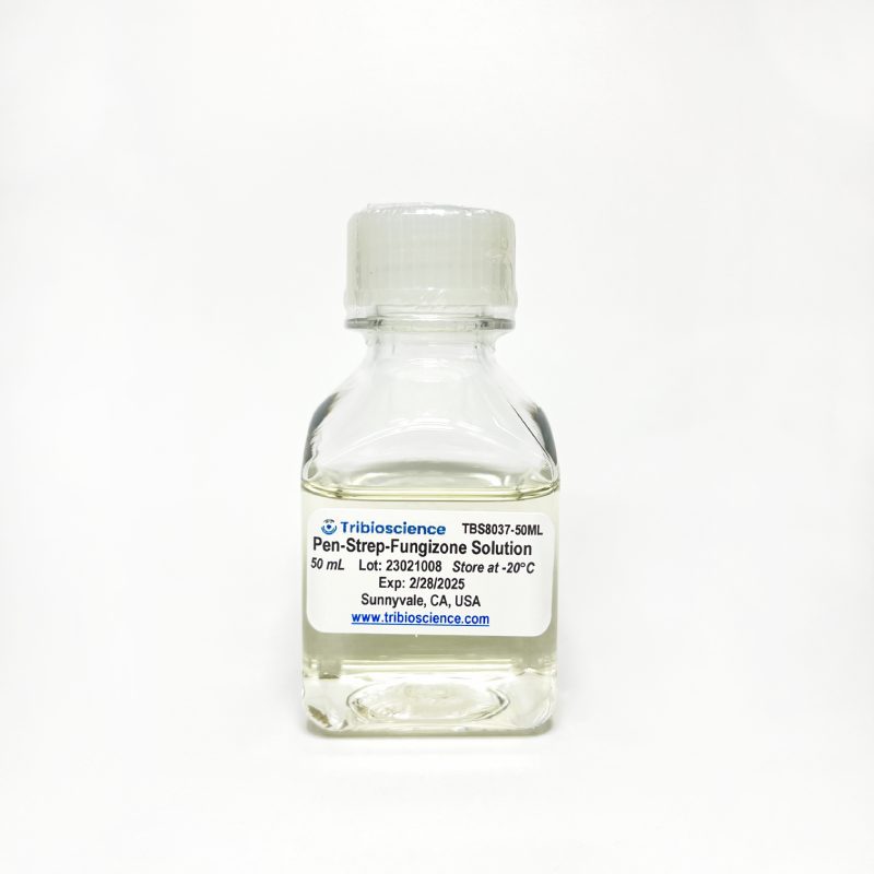 Antibiotic Antimycotic (Pen/Strep/Fungizone) Solution (100x) TBS8037-50ML - Life Science - TriBioScience