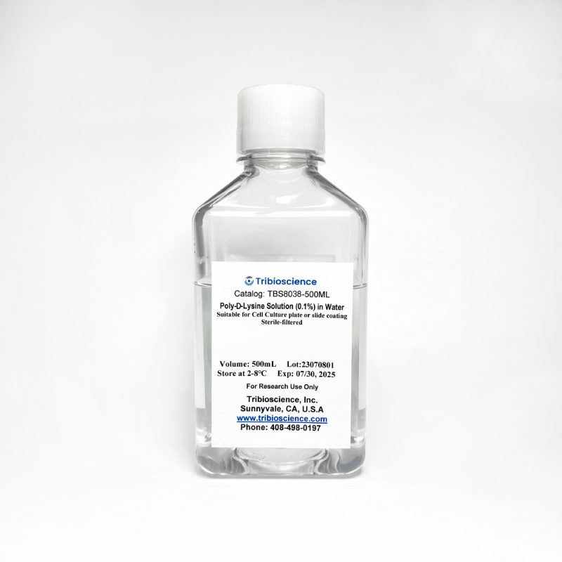 Poly-D-Lysine Solution (0.1%) in Water TBS8038-50 - Life Science - TriBioScience