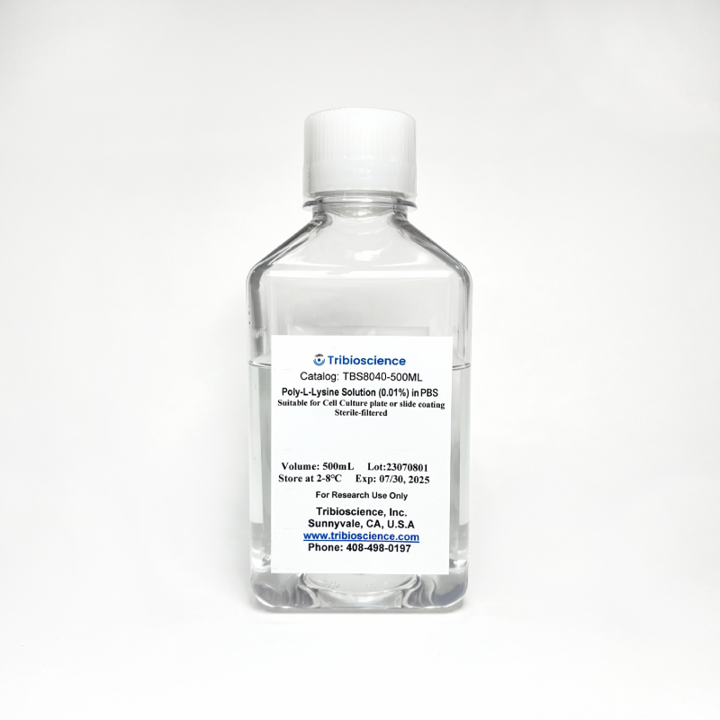 Poly-L-Lysine Solution (0.01%) in PBS, Ready to Use TBS8040-50ML - Life Science - TriBioScience