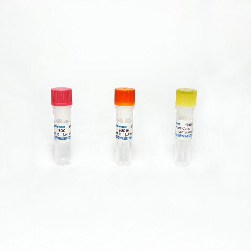 DH5α Competent Cell (10×50 uL), >10^9 TBS8041-10 - Life Science - TriBioScience