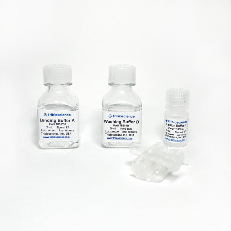 Tribo™ Brown Adipocyte Differentiation Kit TBS8028-10 - Life Science - TriBioScience
