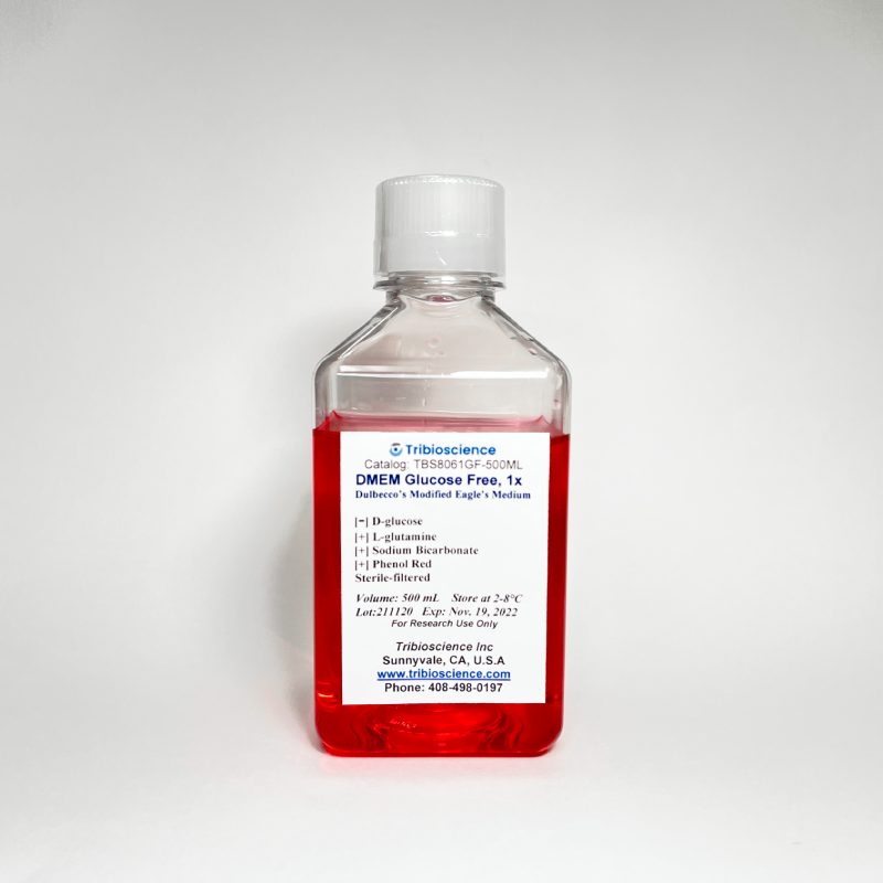 DMEM (Dulbecco’s Modification of Eagle’s Medium), high glucose