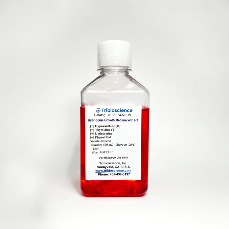 Hypoxanthine-Thymidine (HT) Supplement (50x) for Hybridoma Cell Growth TBS8073-100ML - Life Science - TriBioScience