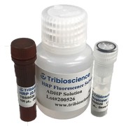 HRP Fluorescence Substrate System TBS5026 - Common Reagents - TriBioScience