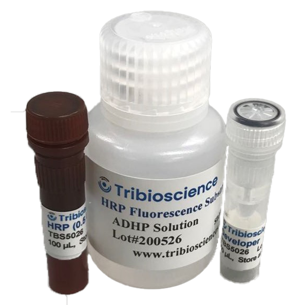 HRP Fluorescence Substrate System TBS5026 - Common Reagents - TriBioScience