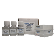 96-Well Plate Plasmid DNA Prep (Mini) TBS6012 - Life Science - TriBioScience