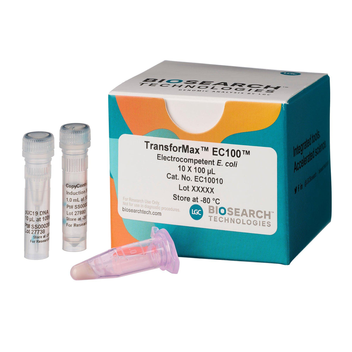 TransforMax EC100 Competent Cells COMCEL-011 - Competent cells for transformation - Biosearch Technologies