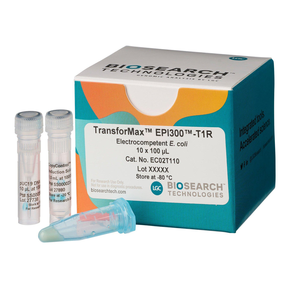 TransforMax EPI300-T1R Electrocompetent Cells EC02T110 - Competent cells for transformation - Biosearch Technologies
