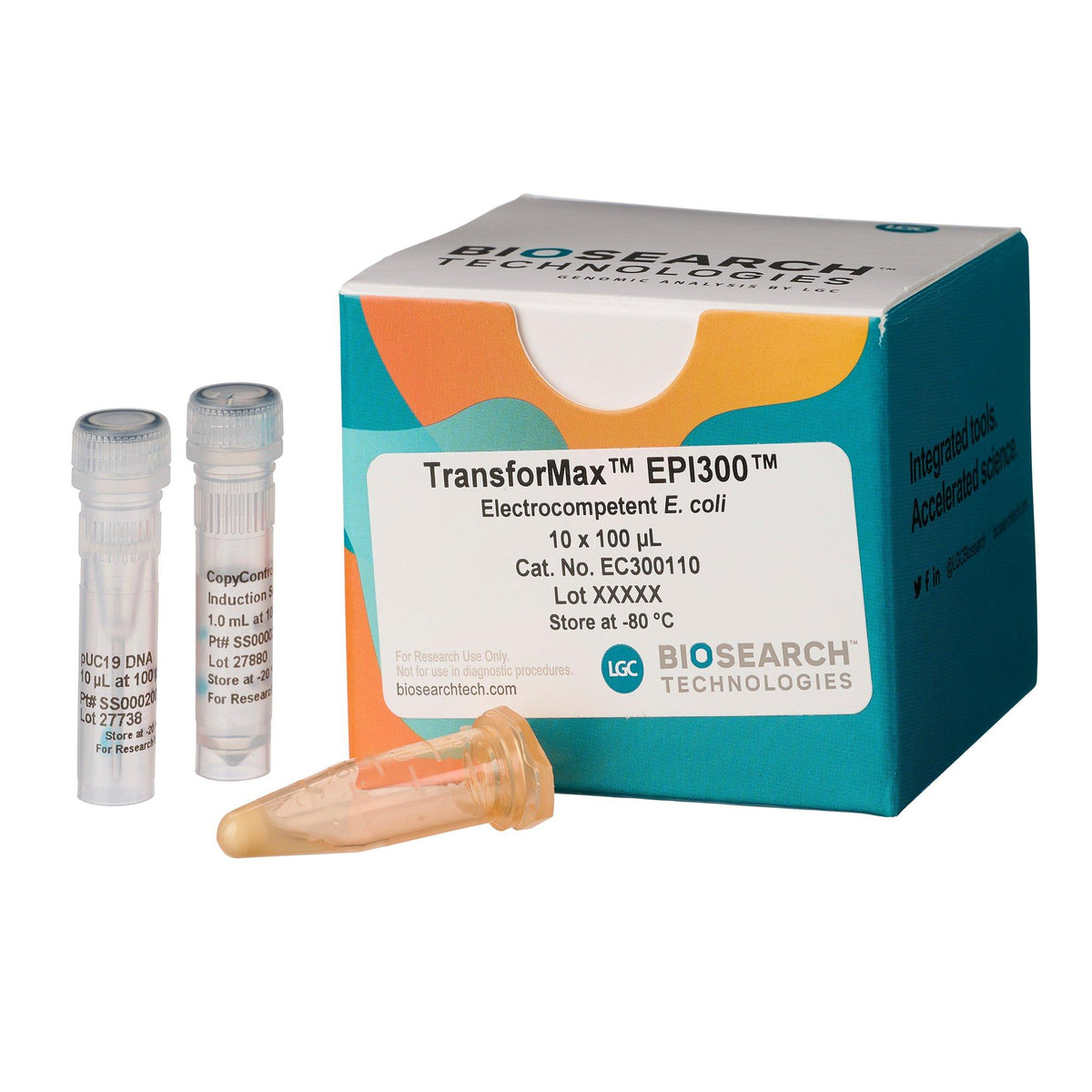 TransforMax EPI300 COMCEL-009 - Competent cells for transformation - Biosearch Technologies