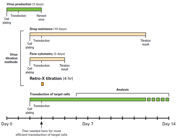 Retro-X™ qRT-PCR Titration Kit 631453 - Gene function - Takara Bio