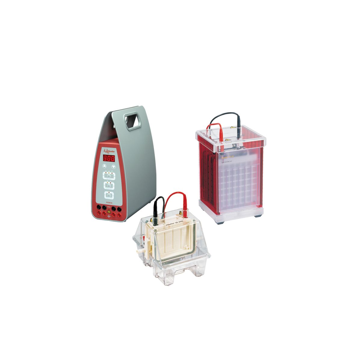 Mini Electrophoresis Western Blot Combination Package w/ Transfer Tank
