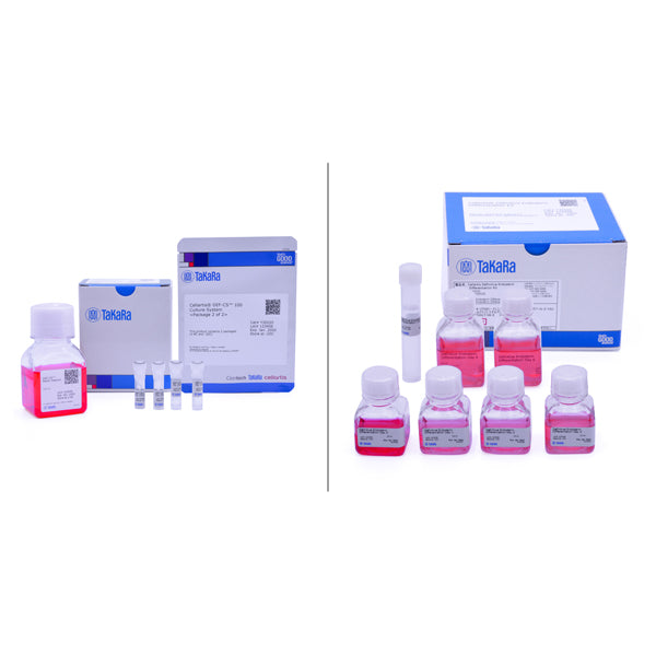 Cellartis® Definitive Endoderm Differentiation Kit with DEF-CS™ Culture System Y30035 - Stem cell research - Takara Bio