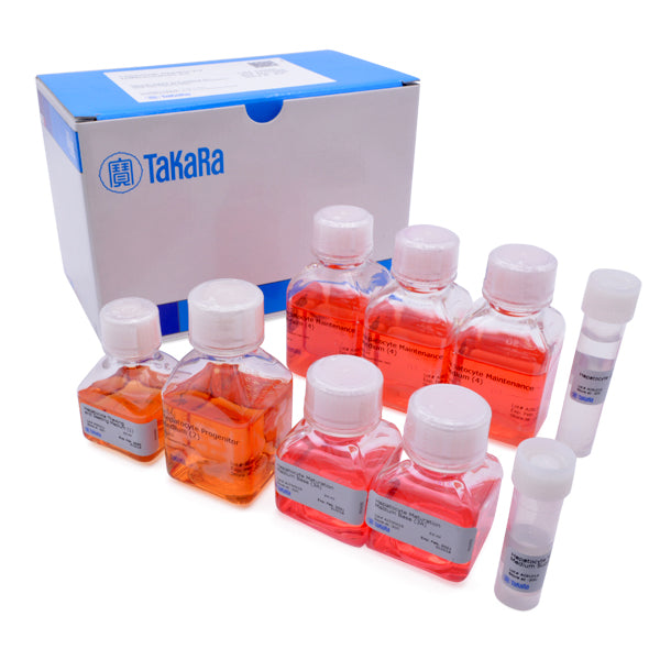 Cellartis® Hepatocyte Differentiation Kit Y30050 - Stem cell research - Takara Bio