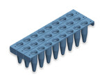 24 x 0.2 ml Plate – RP,LF,SEMI Sk,24 well plate (0.2 ml) B50240 - BIOplastics