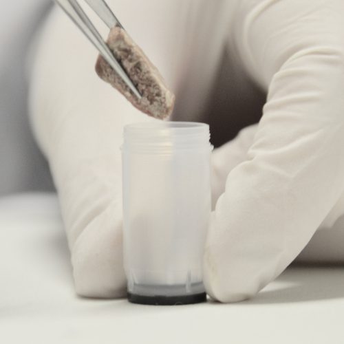 3.50ml Screw Cap Tubes with External Thread Flat bottom - Sample Storage Tubes - Micronic