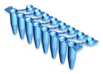 EU 0.2 ml 8-tube strip – XHP,UC,Single Attached Optical Flat Cap (High-profile) B79201 - BIOplastics
