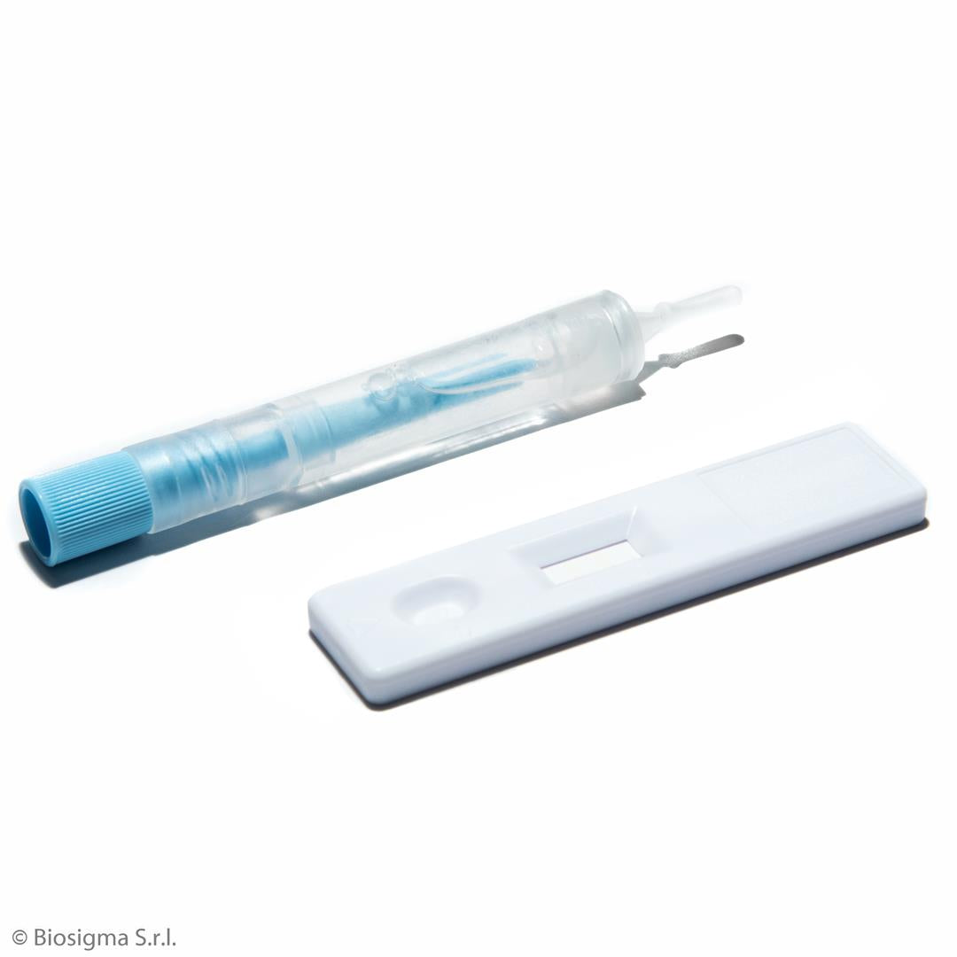 H. pylori Stool Antigen Rapid Test (BSD632)
