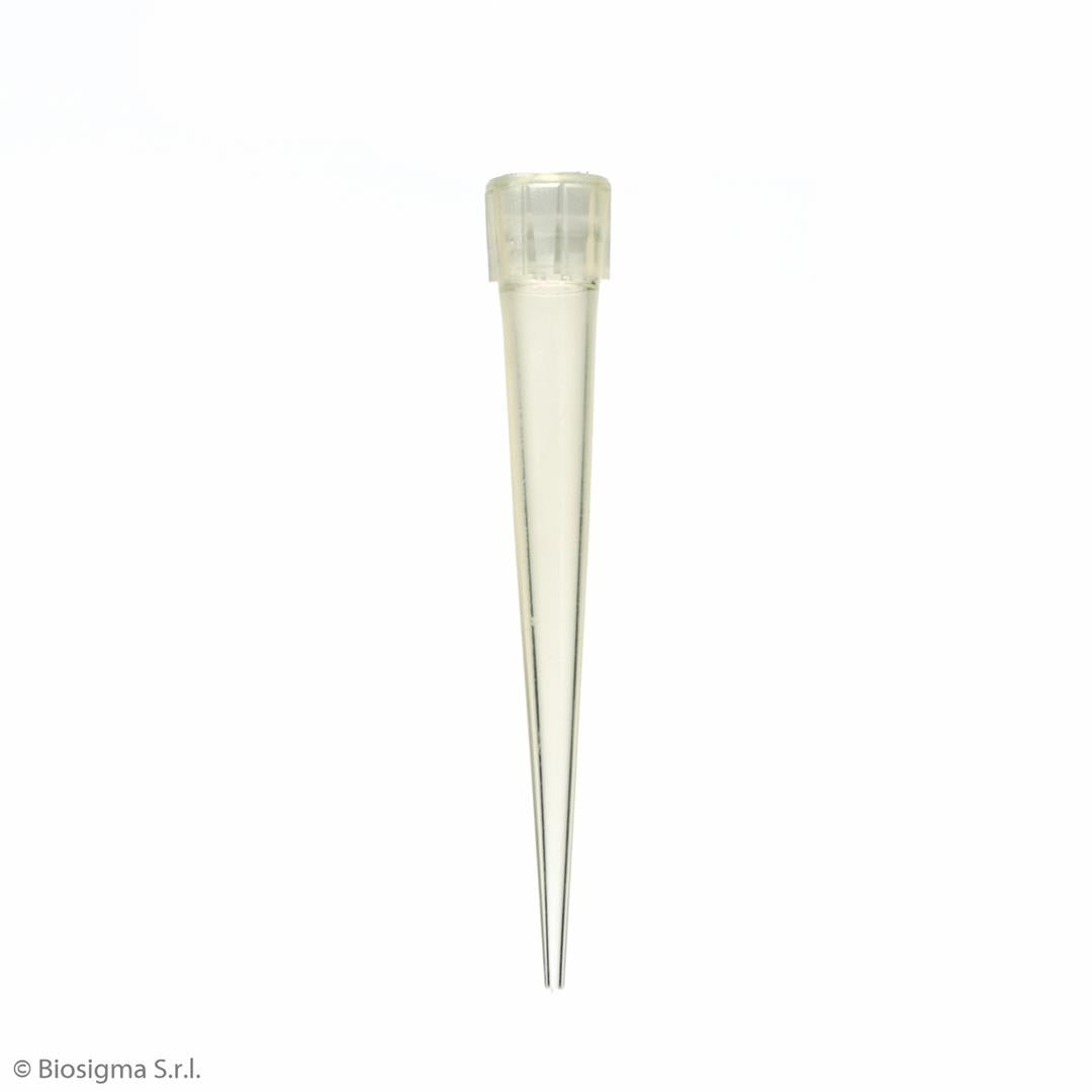 Pipette Tips, Standard (BSR062)