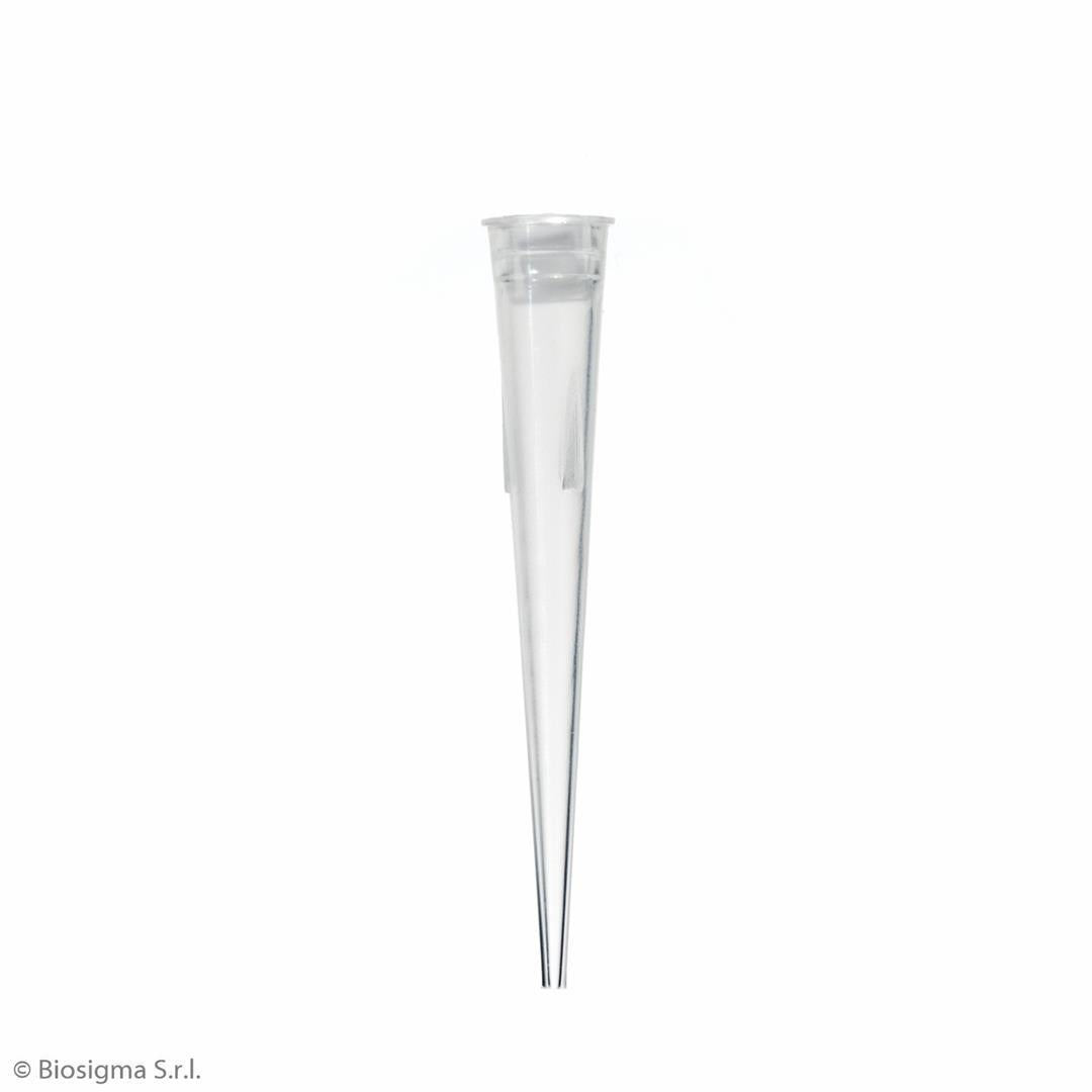 Pipette Tips, Standard (BSR062)