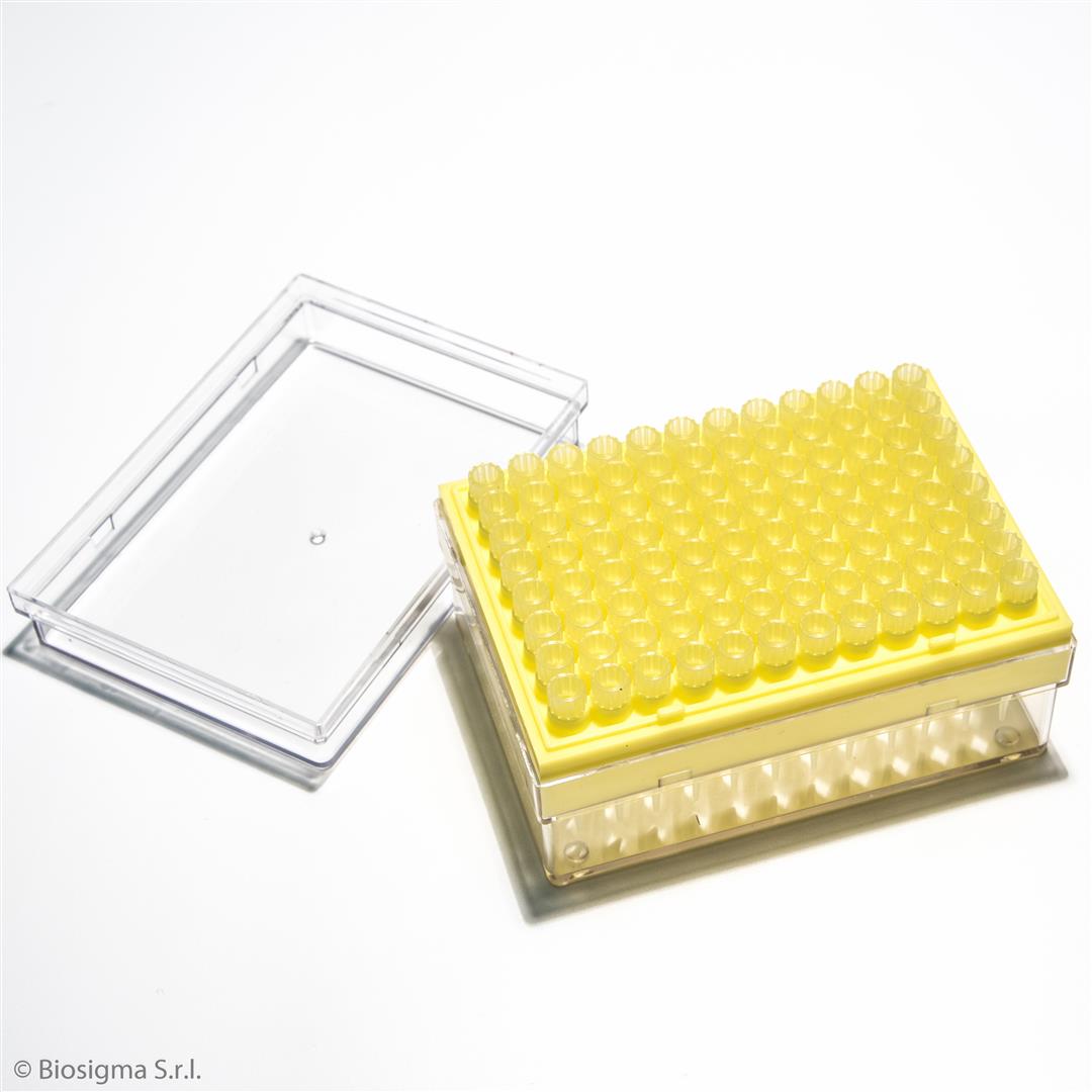 Pipette Tips, Standard (BSR062)