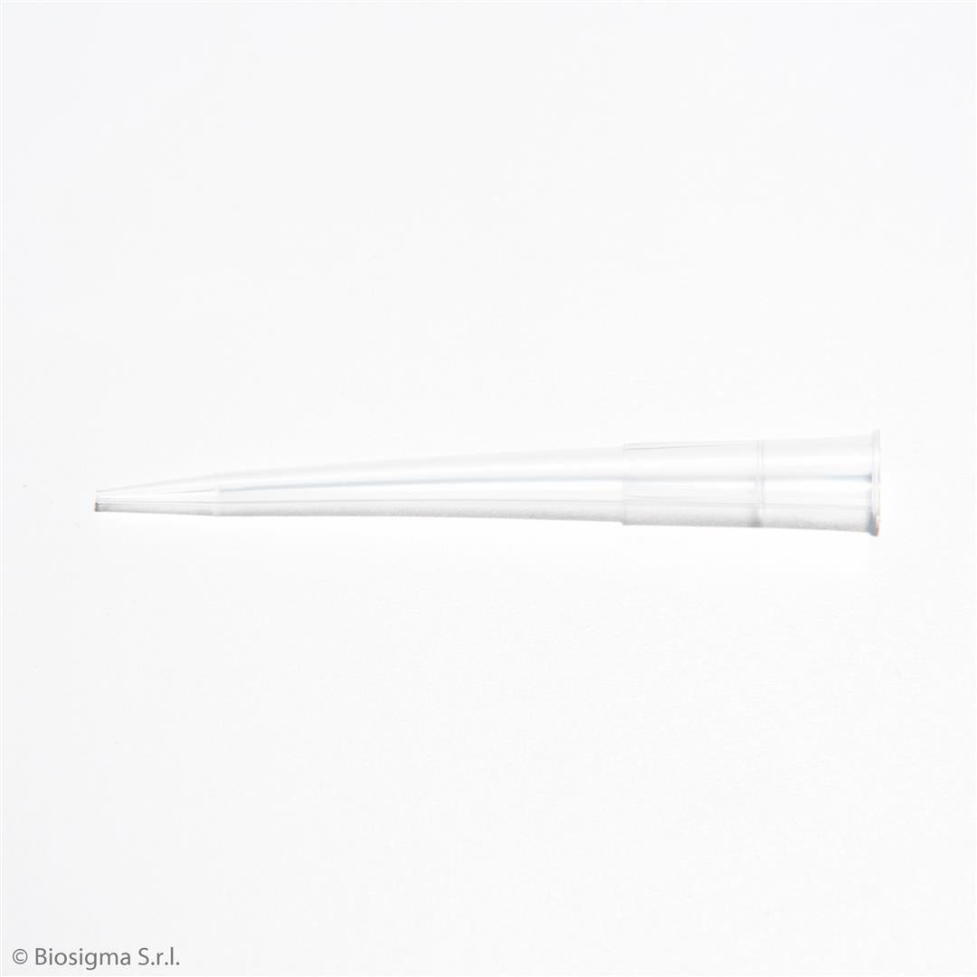Pipette Tips, Standard (BSR062)