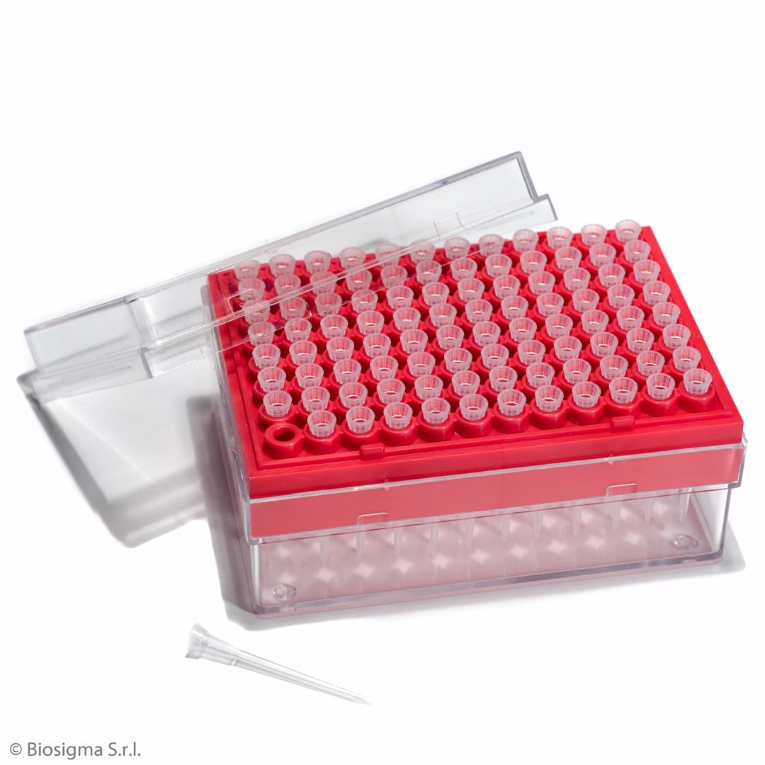 Pipette Tips, Standard (BSR062)