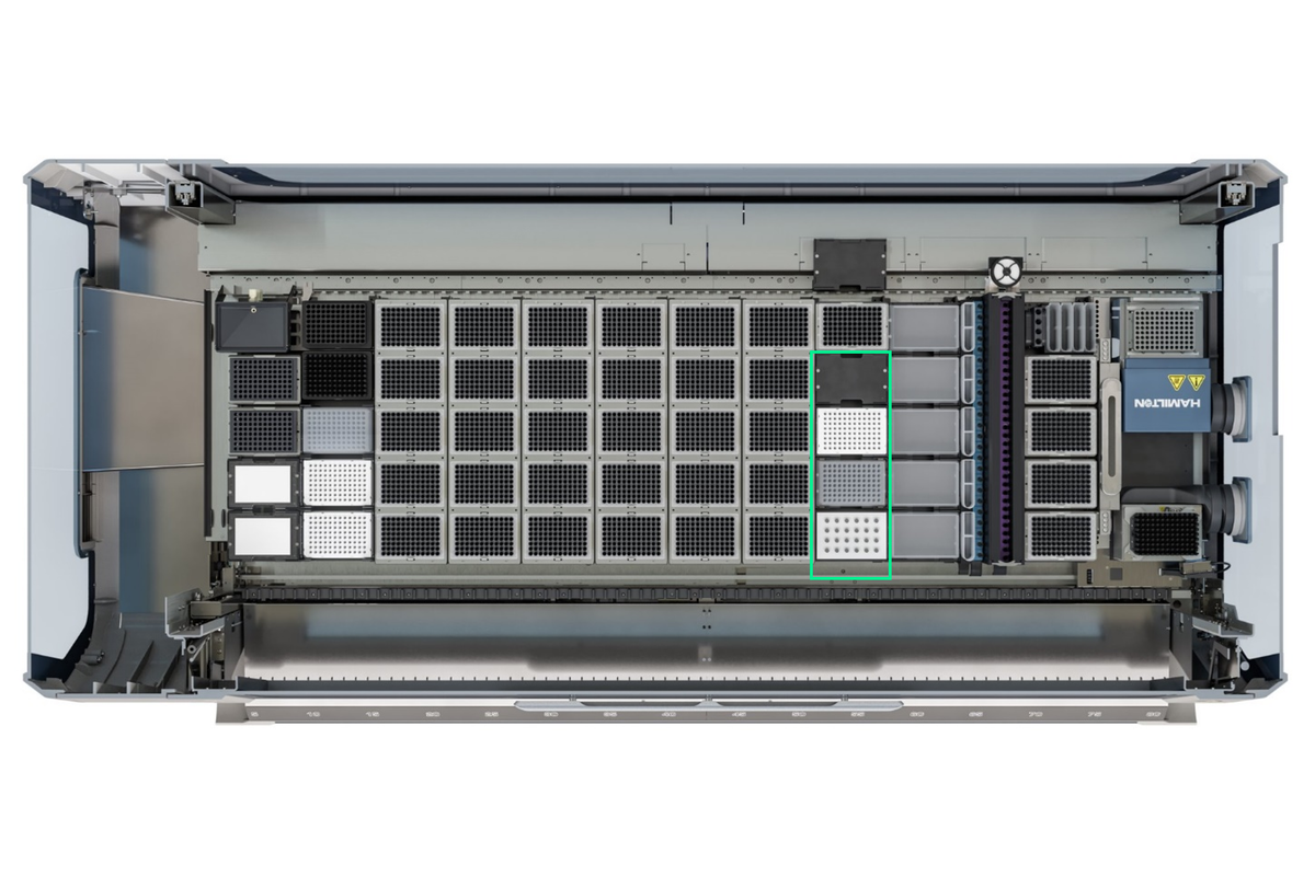 NGS STAR V (827006)
